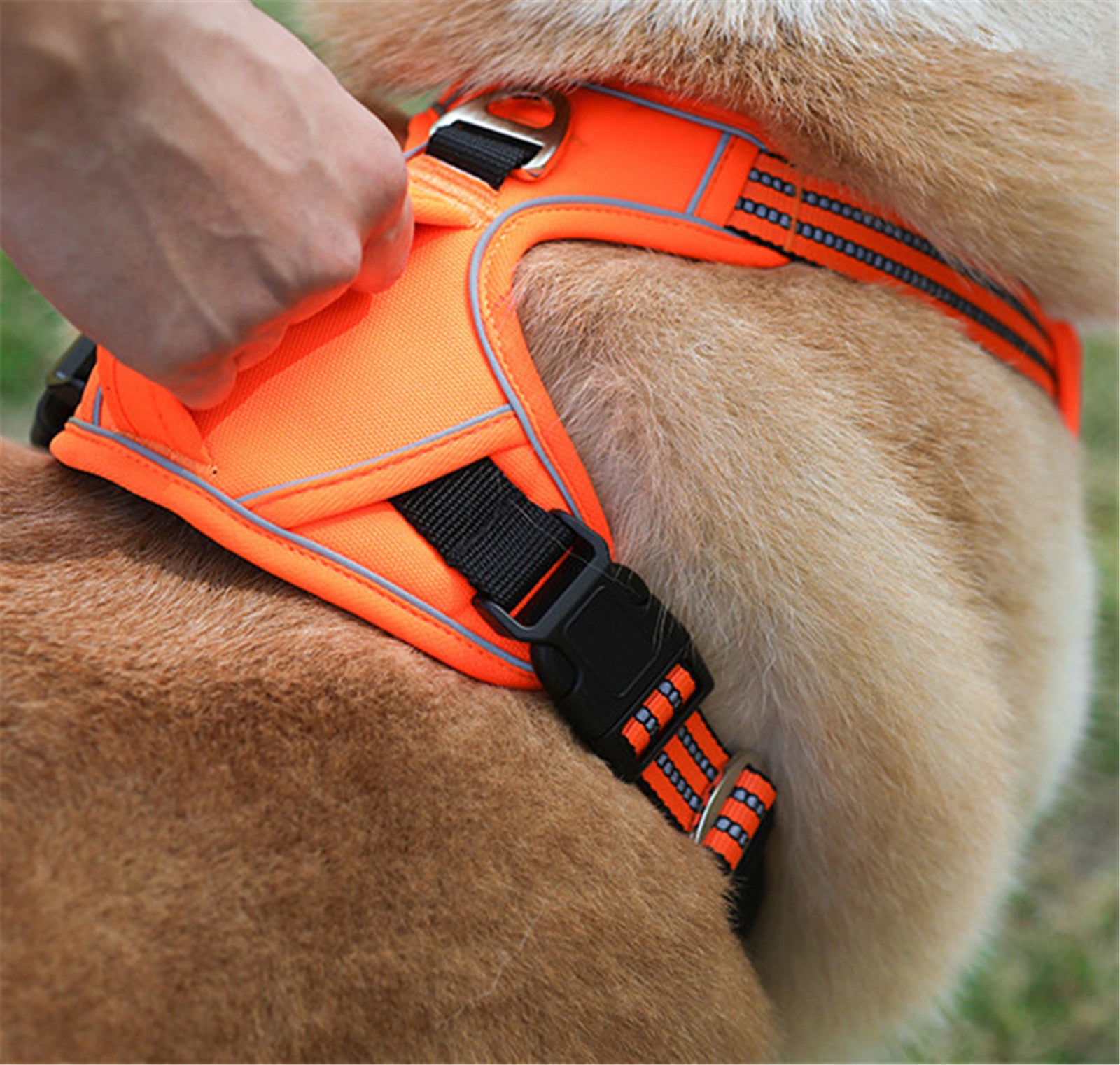 Durable long lasting Pet Harness with Vertical Handle